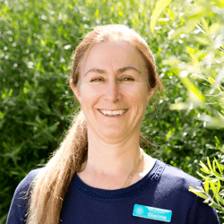 Dianne Edmonds - Physiotherapist at Nest Medical